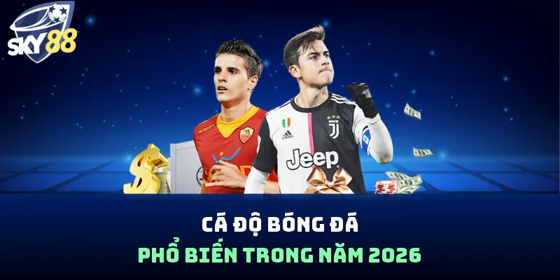 Cá Độ Bóng Đá - Chốt Là Trúng, Đút Túi 1.000K Mỗi Ngày - spin853.xyz
