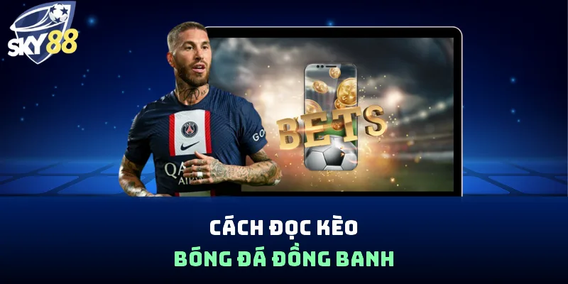 Cách Đọc Kèo Bóng Đá Chi Tiết, Dễ Hiểu Cho Người Mới - spin853.xyz