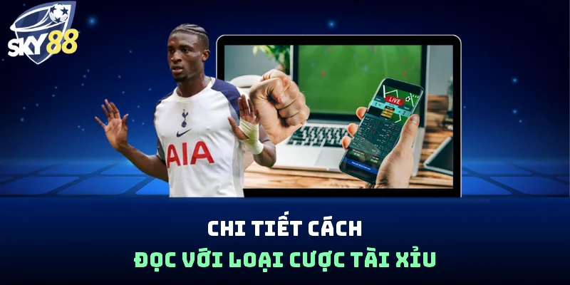 Cách Đọc Kèo Bóng Đá Chi Tiết, Dễ Hiểu Cho Người Mới - spin853.xyz