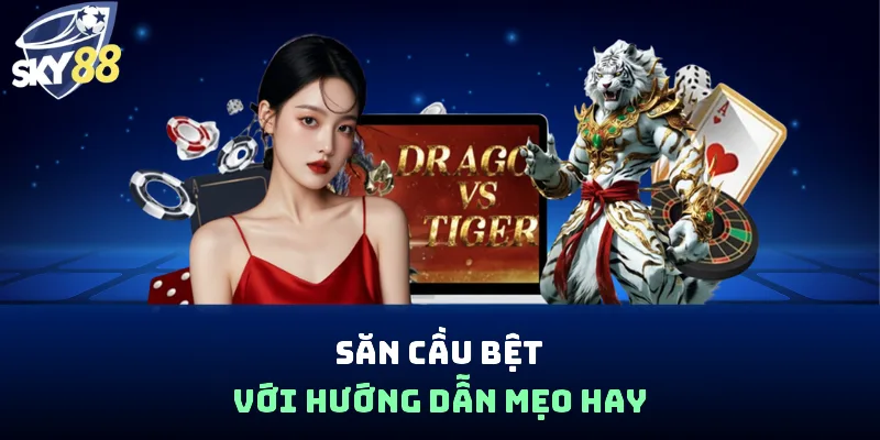 Luật Chơi Rồng Hổ Từ A - Z Và Phân Tích Thông Số Cụ Thể - spin853.xyz