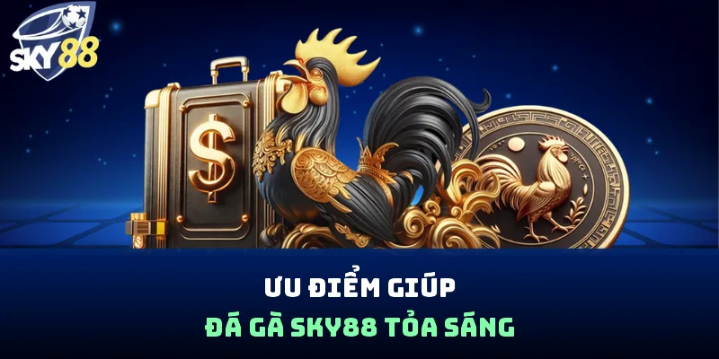 Đá Gà Sky88 - Đấu Trường Rực Lửa, Đổi Đời Siêu Tốc 2026